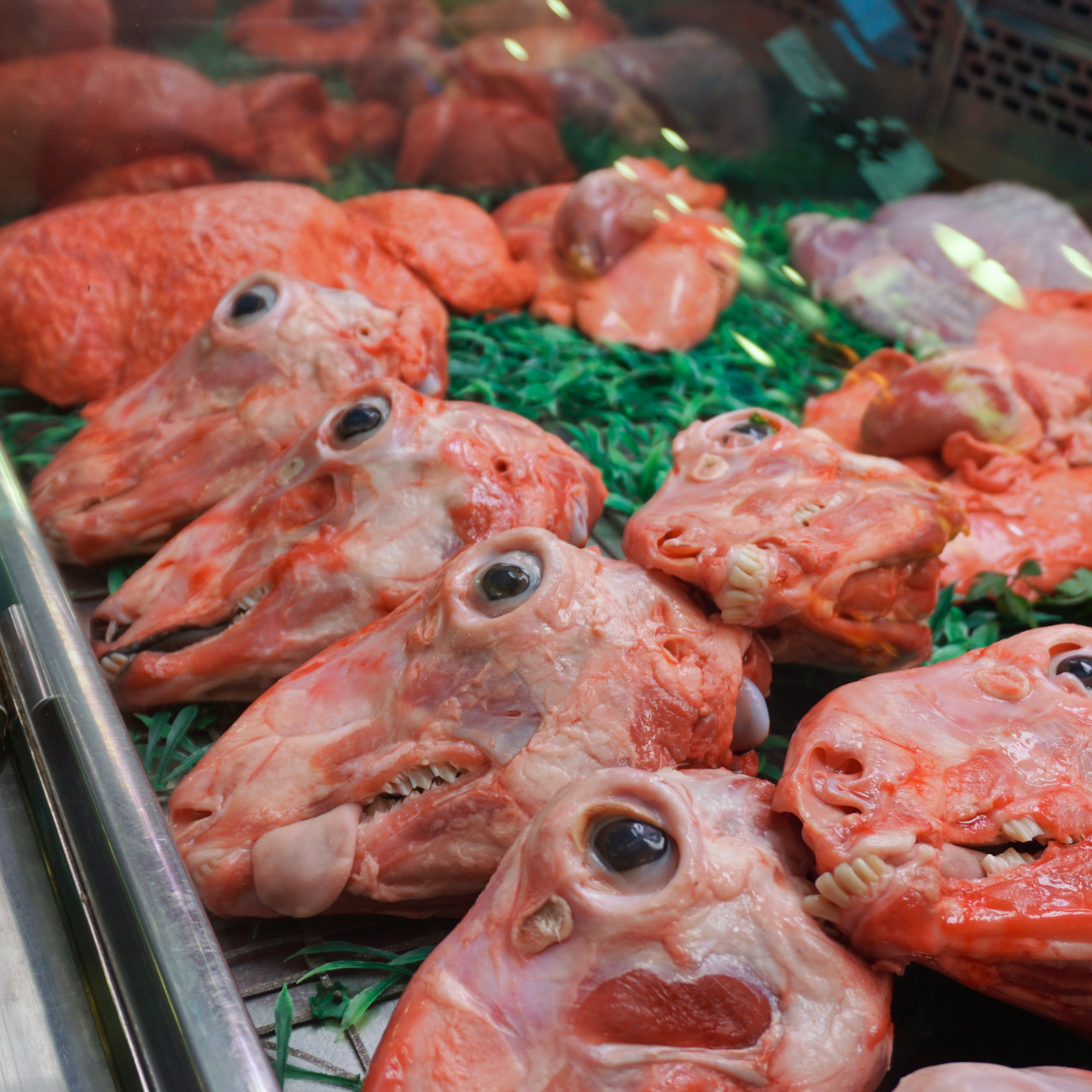 buy Lamb Heads