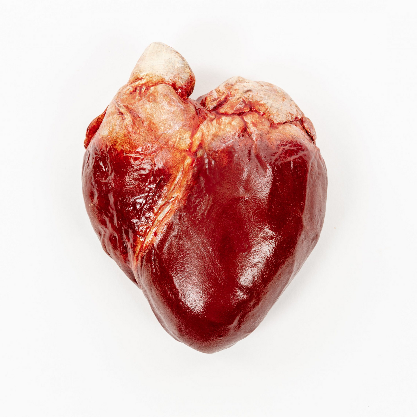 Goat Heart